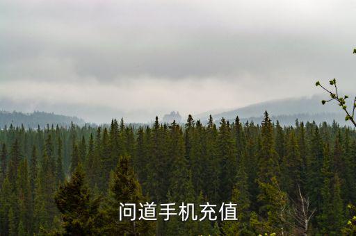 问道手机充值