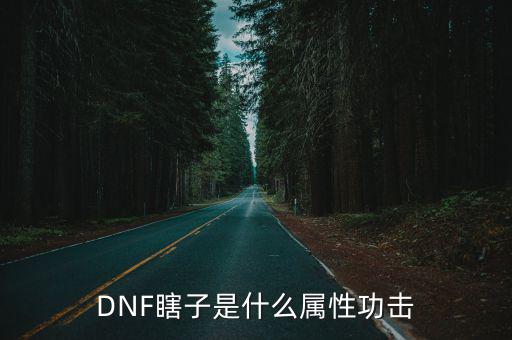 dnf瞎子用什么属性攻击，瞎子走什么属性攻击