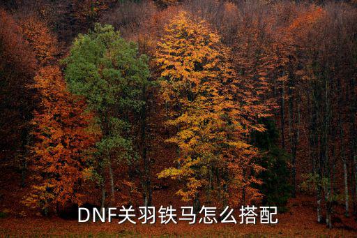 dnf关羽铁马走什么属性，DNF关羽是堆什么属性伤害高是力量还是独立攻击求大神解答  搜