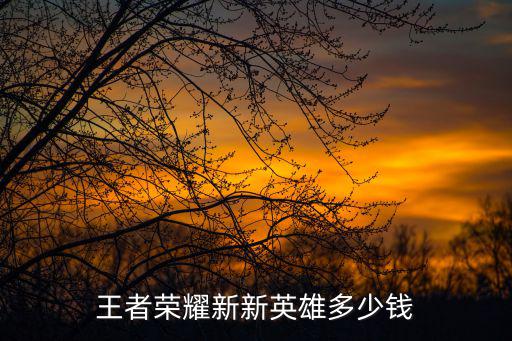 王者荣耀新新英雄多少钱