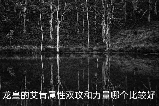 龙皇的艾肯属性双攻和力量哪个比较好
