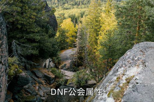 dnf公会有些什么属性，DNF公会什么点属性