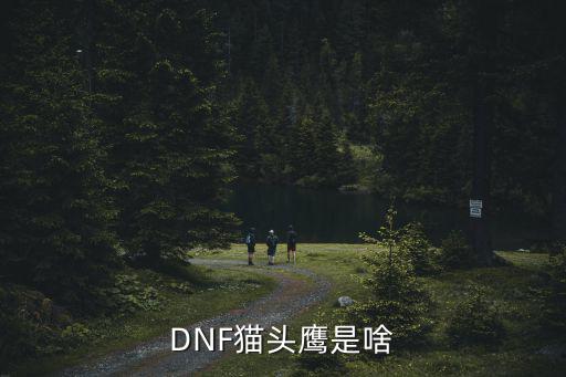 dnf猫头鹰什么属性，DNF猫头鹰有什么用