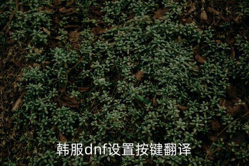 韩服dnf设置按键翻译
