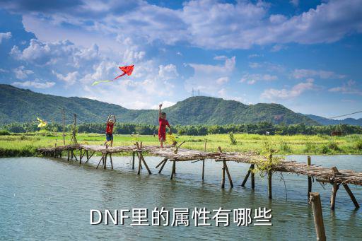 DNF里的属性有哪些
