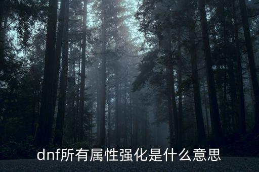 dnf 属性强化什么意思，dnf所有属性强化是什么意思