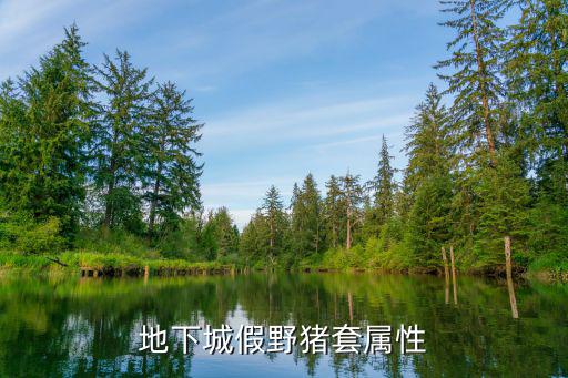 dnf假猪套什么属性，DNF假猪套是什么属性叫什么怎么做