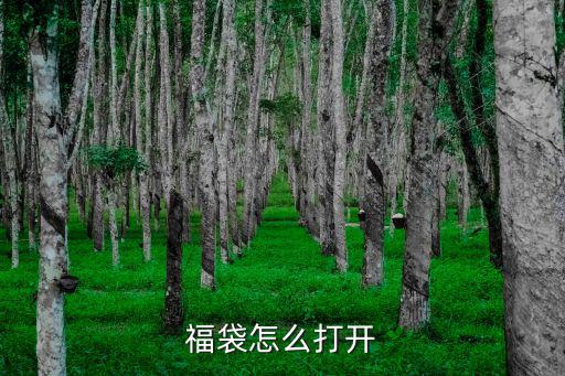 怎么开火影手游福袋，火影忍者手游福袋当天没买怎么办