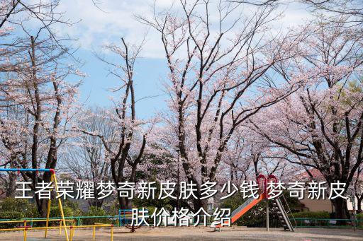 王者荣耀梦奇新皮肤多少钱 梦奇新皮肤价格介绍
