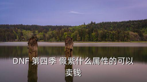 dnf假紫什么属性赚钱，dnf假紫什么属性值钱