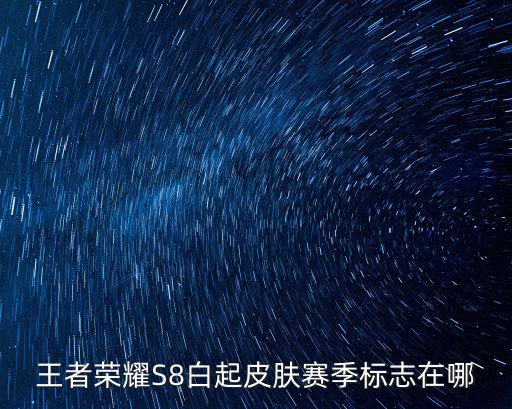 王者荣耀S8白起皮肤赛季标志在哪