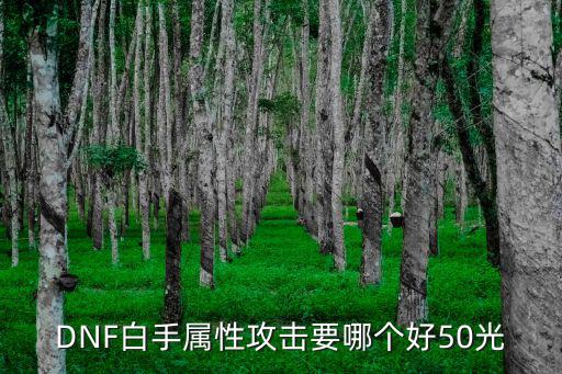 DNF白手属性攻击要哪个好50光