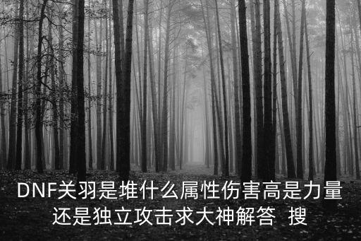 DNF关羽是堆什么属性伤害高是力量还是独立攻击求大神解答 搜