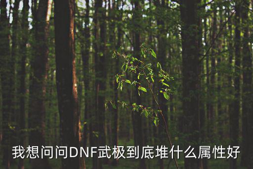 我想问问DNF武极到底堆什么属性好