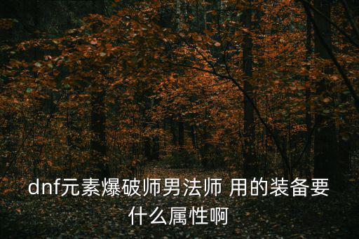 dnf元素爆破师男法师 用的装备要什么属性啊