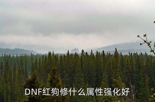 dnf红狗什么属性强，DNF红狗修什么属性强化好
