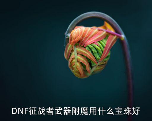 DNF征战者武器附魔用什么宝珠好