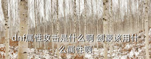 dnf属性攻击是什么啊 剑豪该用什么属性啊