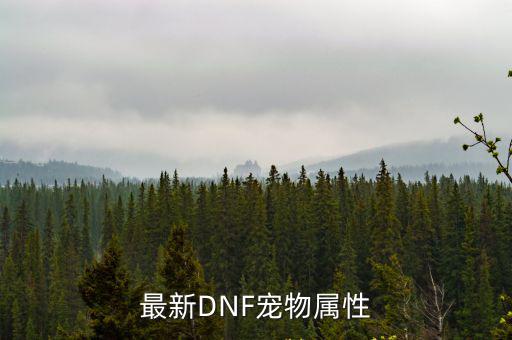 最新DNF宠物属性