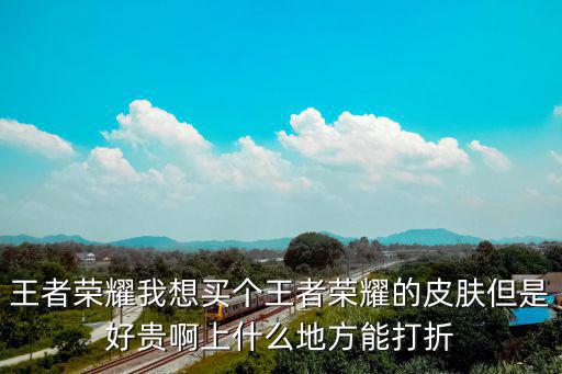 王者荣耀我想买个王者荣耀的皮肤但是好贵啊上什么地方能打折