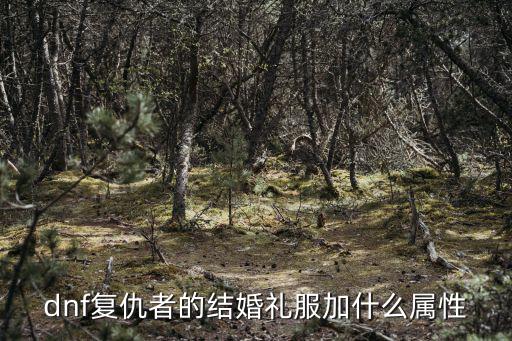 dnf结婚礼服用什么属性，dnf男法师结婚礼服属性要选什么