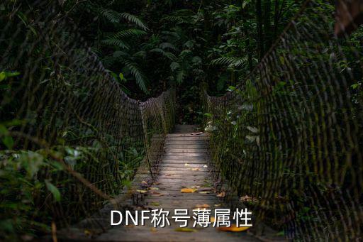 dnf称号簿属性是什么，DNF称号簿最好的属性是什么 有个人和我说没有几个人为了那5移