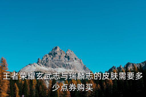 王者荣耀玄武志与瑞麟志的皮肤需要多少点券购买