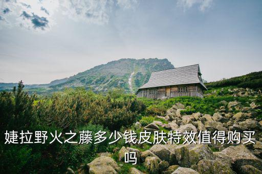 婕拉野火之藤多少钱皮肤特效值得购买吗