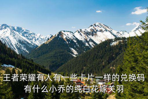 王者荣耀新皮肤兑换码多少，王者荣耀有人有一些卡片一样的兑换码有什么小乔的纯白花嫁关羽
