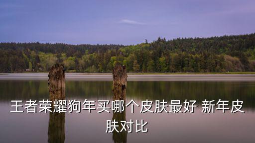 王者荣耀狗年买哪个皮肤最好 新年皮肤对比