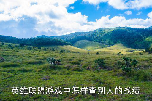 lol手游队友战绩怎么查，英雄联盟游戏中怎样查别人的战绩