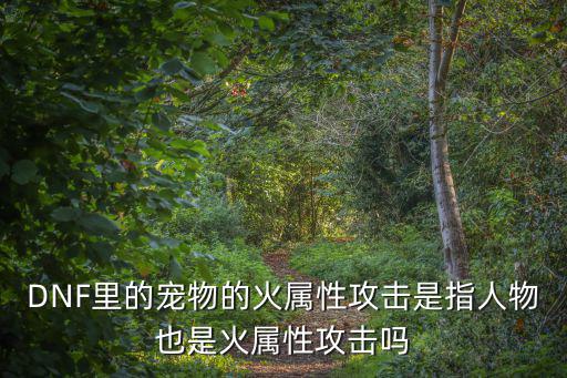 DNF里的宠物的火属性攻击是指人物也是火属性攻击吗
