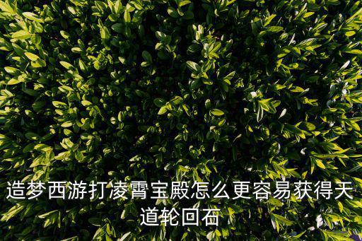 造梦西游打凌霄宝殿怎么更容易获得天道轮回石