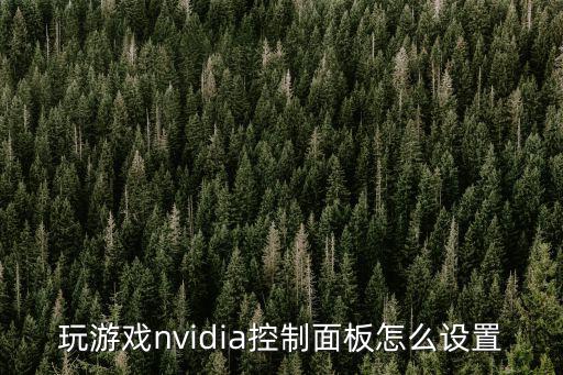 玩游戏nvidia控制面板怎么设置