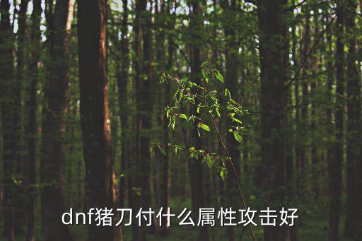 dnf猪刀付什么属性攻击好