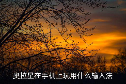 奥拉星在手机上玩用什么输入法