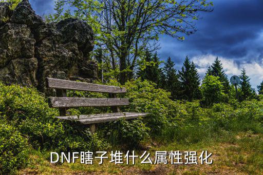 dnf瞎子搞什么属性好，瞎子强那种属性好呢