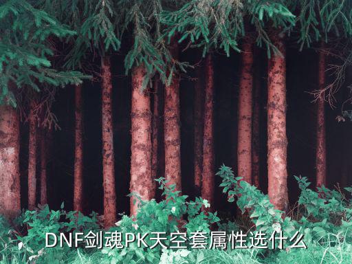 DNF剑魂PK天空套属性选什么