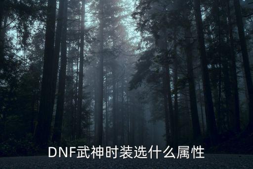 dnf武神衣服选什么属性，地下城武神时装的属性怎么选