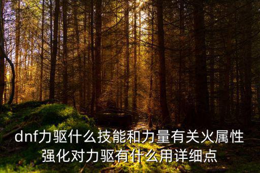 dnf力驱什么技能和力量有关火属性强化对力驱有什么用详细点