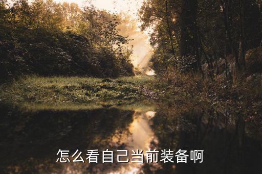 怎么看自己当前装备啊