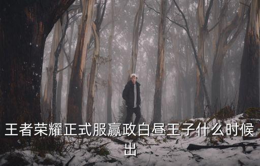 王者荣耀正式服赢政白昼王子什么时候出