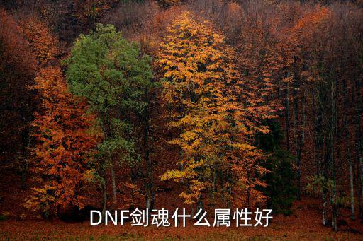 dnf剑神选择什么属性，DNF剑魂什么属性好