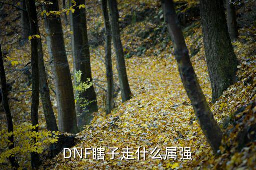 DNF瞎子走什么属强