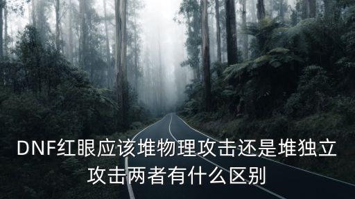 DNF红眼应该堆物理攻击还是堆独立攻击两者有什么区别