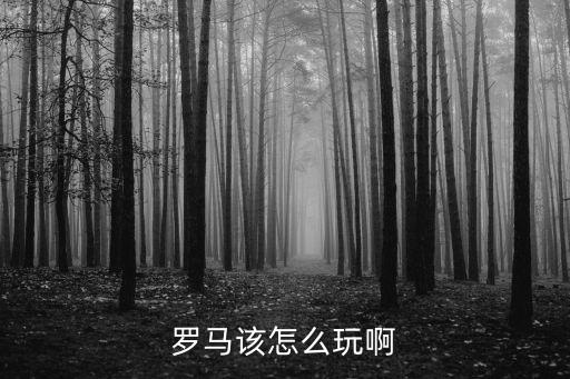 罗马该怎么玩啊