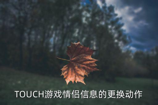 TOUCH游戏情侣信息的更换动作