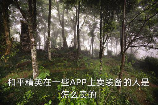 和平精英在一些APP上卖装备的人是怎么卖的