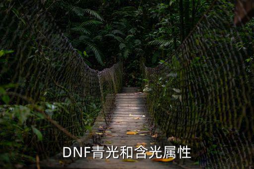 dnf什么称号加光属性，请问DNF45级可带是任务做出来的什么称号含光好还是青光好