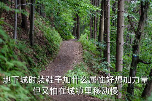 地下城时装鞋子加什么属性好想加力量但又怕在城镇里移动慢